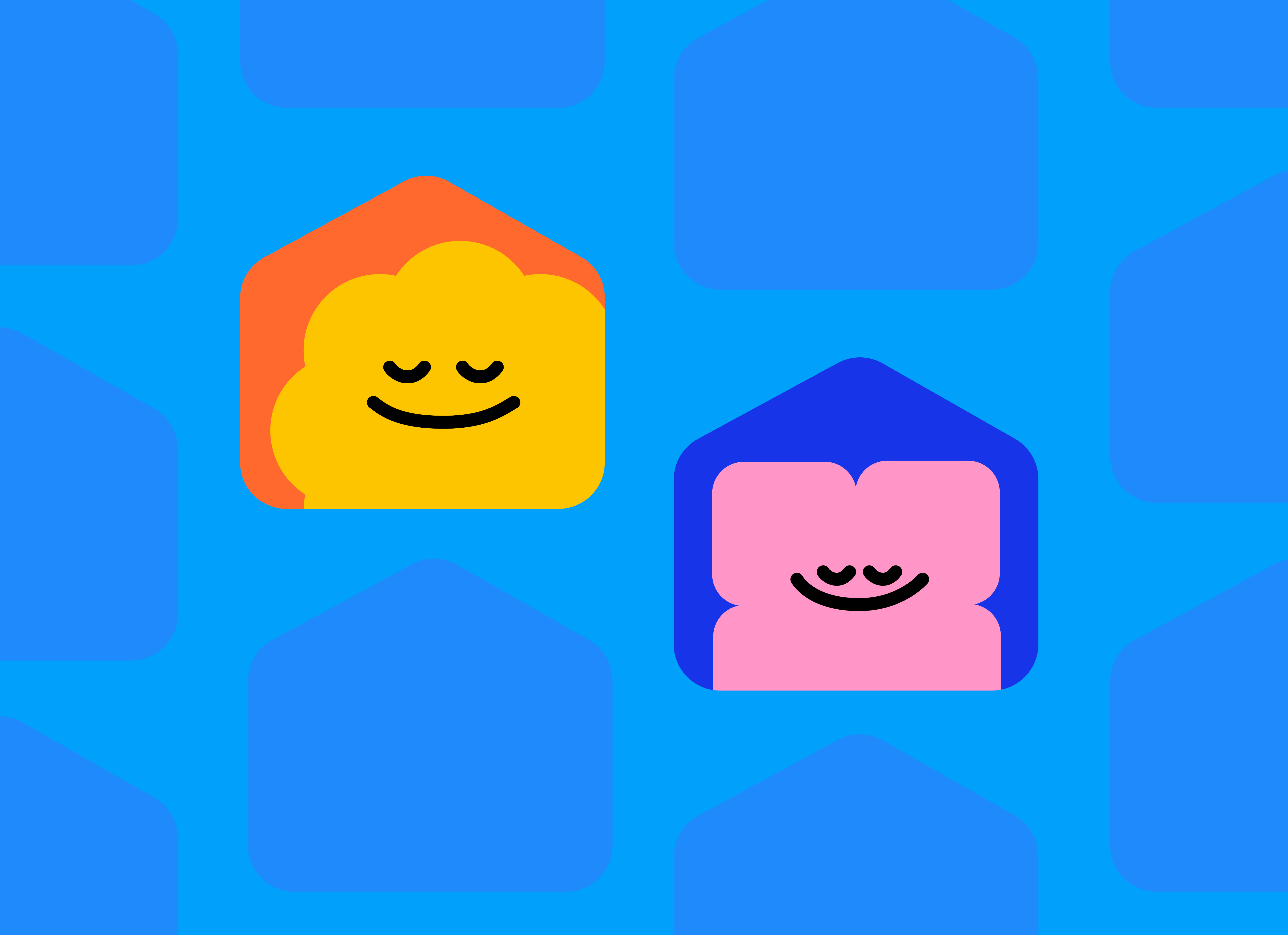 LaundryPro Branch Management